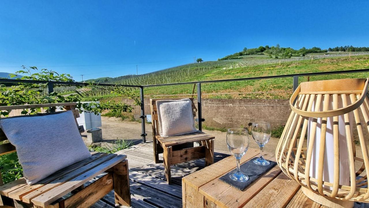 Aux Pieds Des Vignes Daire Bergheim Dış mekan fotoğraf