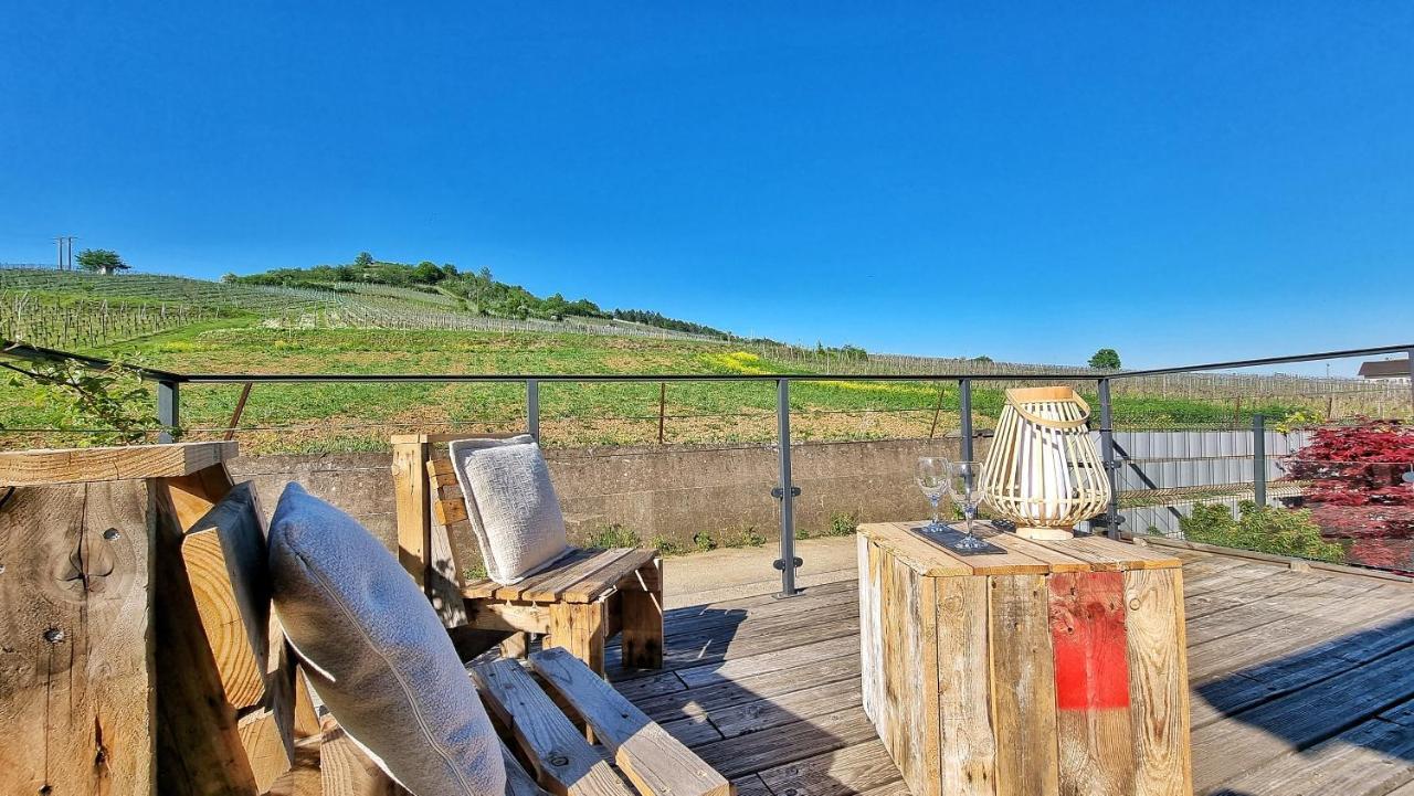 Aux Pieds Des Vignes Daire Bergheim Dış mekan fotoğraf