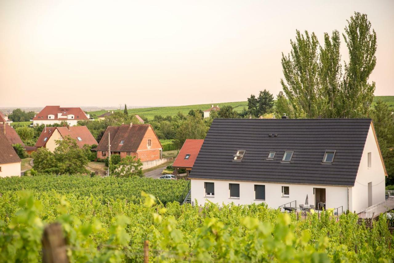 Aux Pieds Des Vignes Daire Bergheim Dış mekan fotoğraf