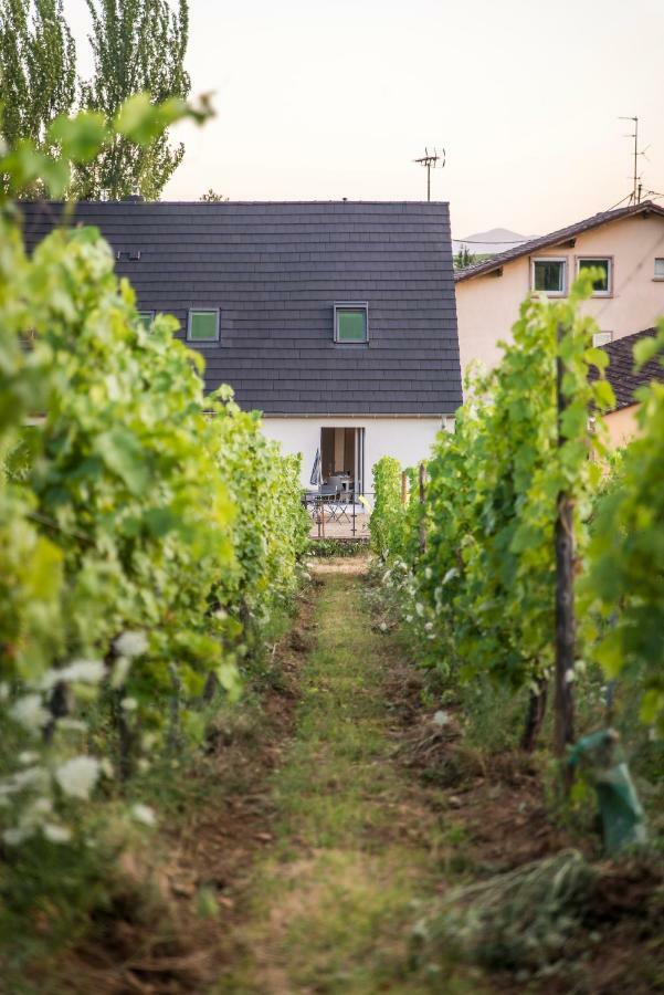 Aux Pieds Des Vignes Daire Bergheim Dış mekan fotoğraf