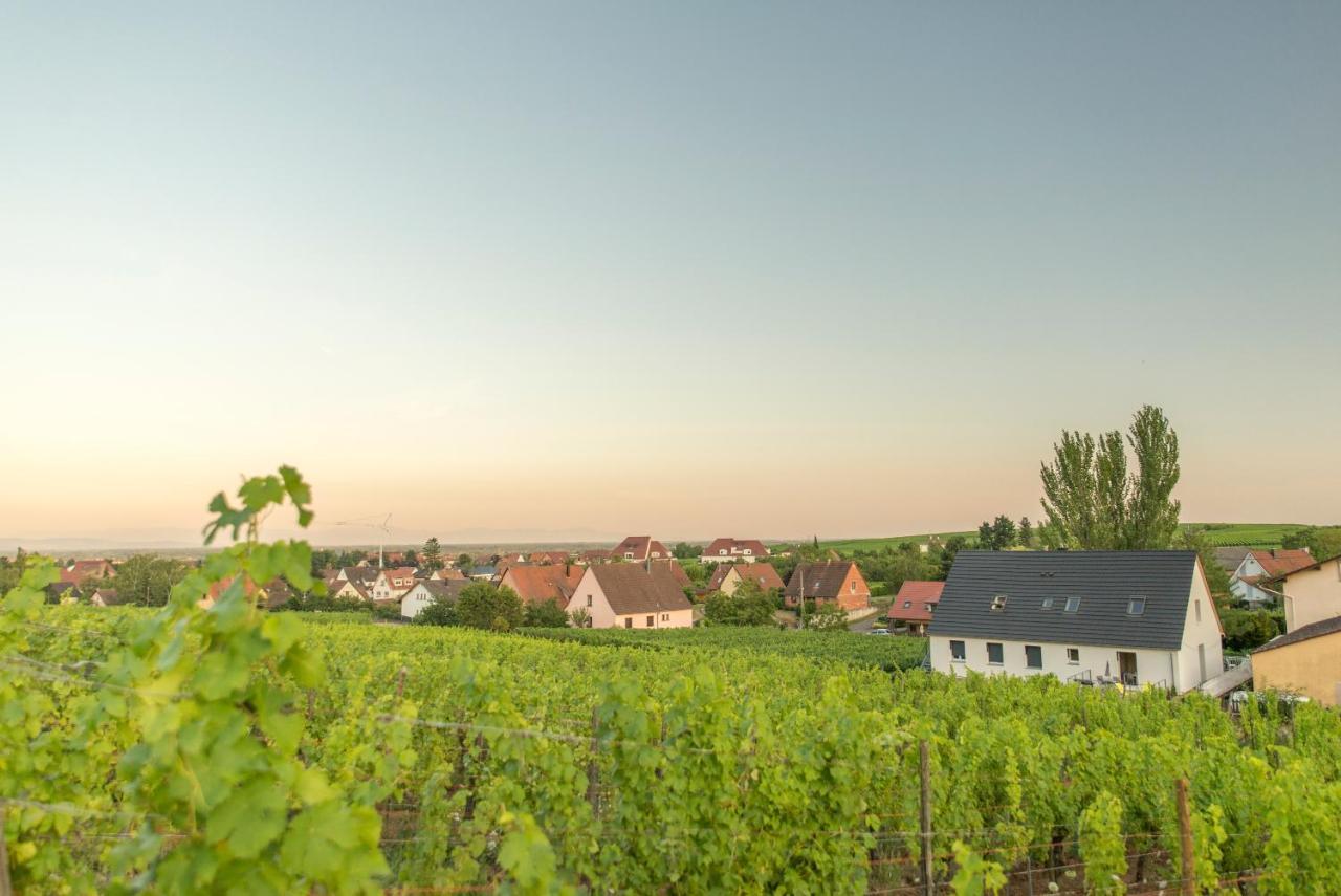 Aux Pieds Des Vignes Daire Bergheim Dış mekan fotoğraf